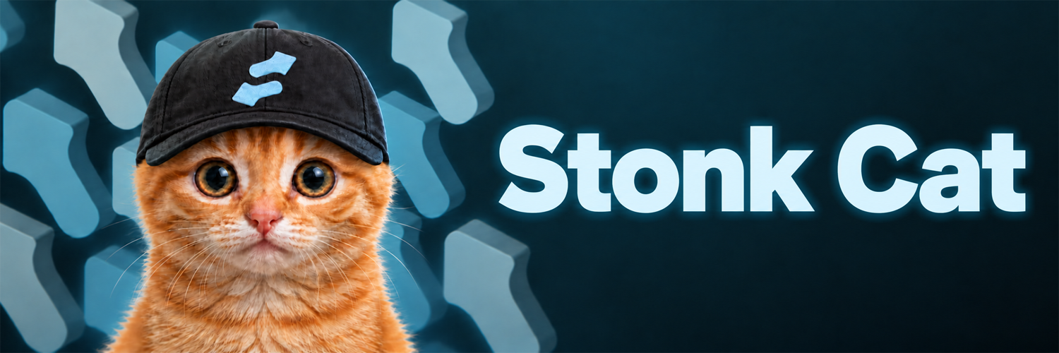Stonk Cat banner — orange tabby in the black stonk cap
